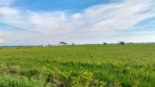 Terjebak Sertifikasi Komersial, Mengapa Agroekologi Indonesia Masih Setengah Hati?