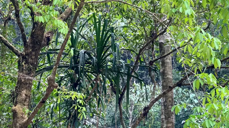 Singgah di Karts Pattunuang, Menemukan Banga Batu di Balik Benteng Batuan Purbakala