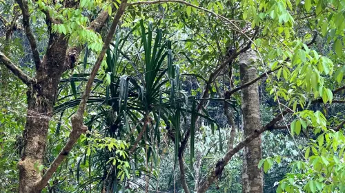 Singgah di Karts Pattunuang, Menemukan Banga Batu di Balik Benteng Batuan Purbakala