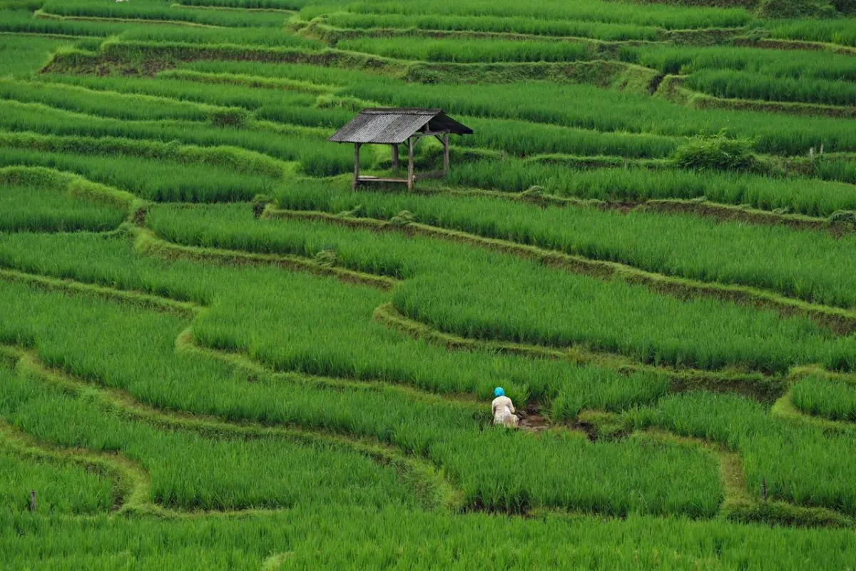Menghubungkan Petani Asia Tenggara, Strategi ASEAN Membangun Pertanian Berkelanjutan