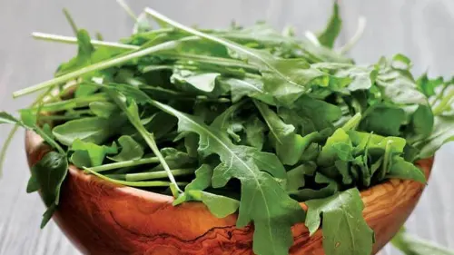 Panduan Lengkap Menanam Arugula, Salad Hijau yang Kaya Manfaat