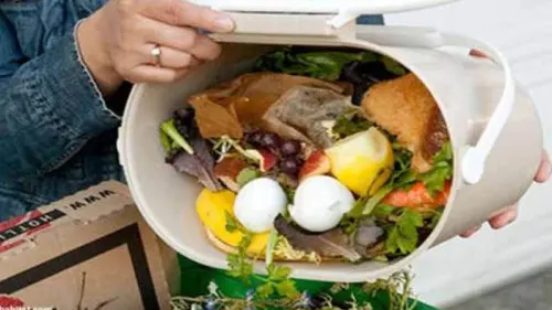 11 Solusi Jitu dari Para Ahli untuk Mengurangi Sampah Makanan