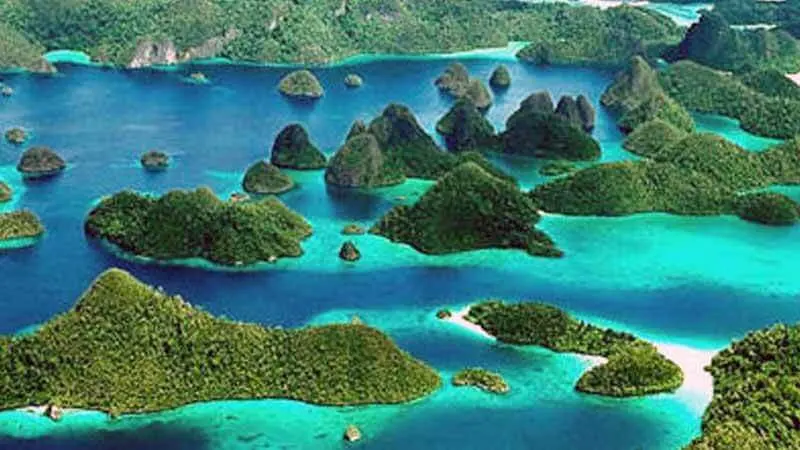 Waigeo, Pulau dengan Keanekaragaman Hayati yang Menakjubkan