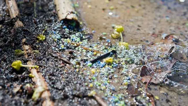 Hujan Mikroplastik Mengintai Kota-kota di Indonesia