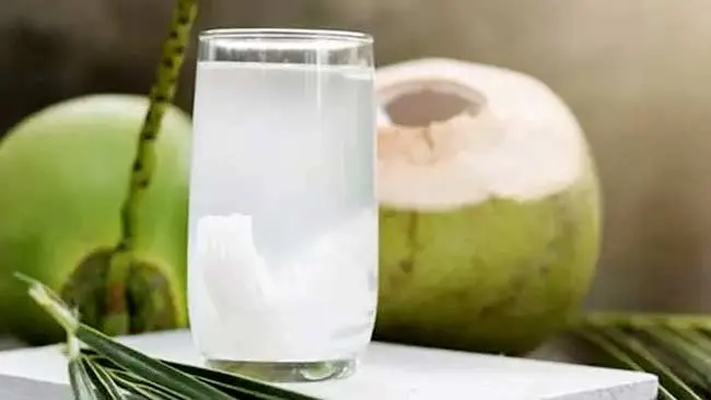 Mengulik Fakta Air Kelapa sebagai Penangkal Vaksin dan Manfaatnya