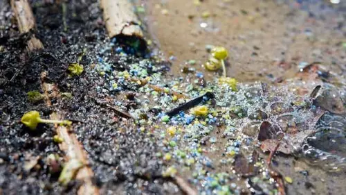 Mikroplastik Sebagai Petaka yang Mengancam Biota Laut