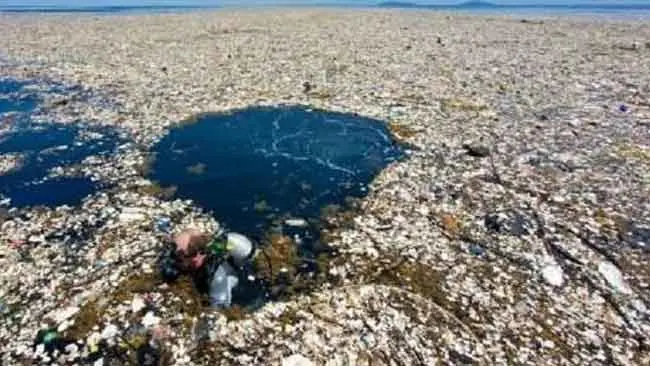 Covid-19 Berkontrubisi Terhadap Meningkatnya Sampah Plastik di Laut