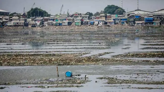 Pulau Sampah di Waduk Pluit yang Airnya Menyusut