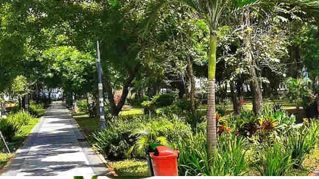 Berinteraksi dengan Ruang Terbuka Hijau Mengurangi Rasa Kesepian