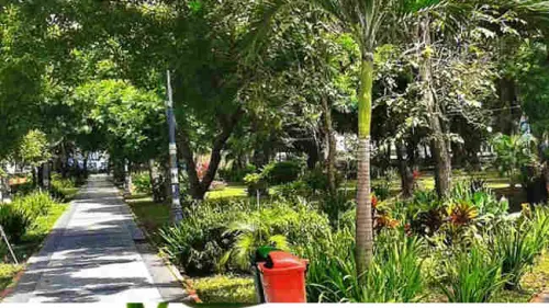 Berinteraksi dengan Ruang Terbuka Hijau Mengurangi Rasa Kesepian