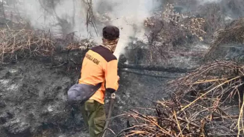 Di September, Hampir Seluruh Wilayah Diintai Karhutla