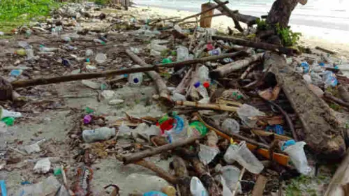 Kenormalan Baru Bawa Ancaman Sampah  bagi Dunia Pariwisata