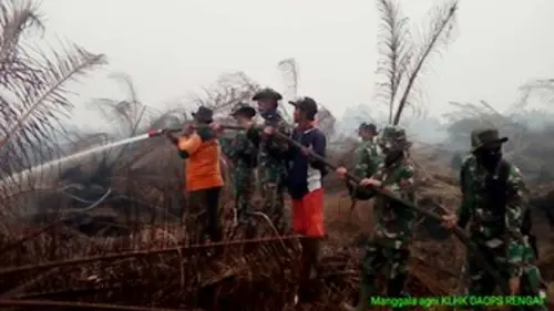 Menteri LHK: Pemerintah Sedang dan Terus Bekerja Keras Atasi Karhutla
