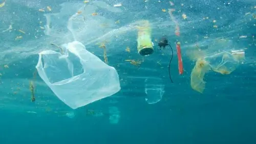 Sampah Plastik di Laut, Komponen Kunci  Merancang Farmasi