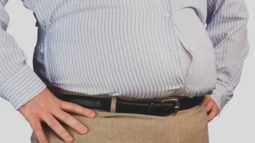 Benarkah Polusi Dapat Meyebabkan Obesitas, Bagaimana Siklusnya?