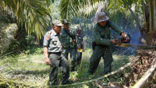 Menilik Risiko Ekonomi dari Kebijakan Biodiesel yang Progresif