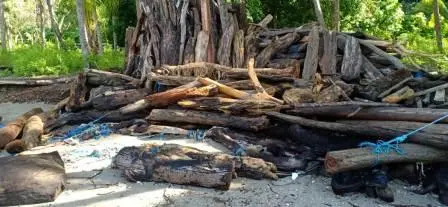 Air Pasang, Kubangan Sampah di MLC Baluno Menjelma Rupiah