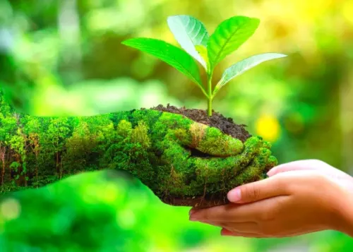 8 Cara Melestarikan Bumi yang Bisa Dimulai dari Diri Sendiri