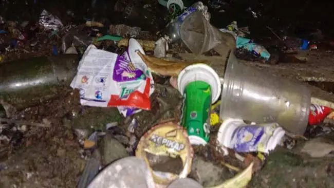 Perihal Limbah Padat, Pengertian dan Jenisnya