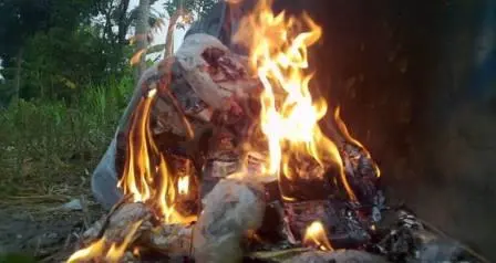 6 Alasan Kuat Kenapa Harus Berhenti Membakar Sampah