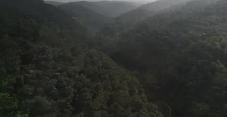 Pentingnya Pemantapan Kawasan Hutan dan Tata Lingkungan dalam Mengawal Pembangunan Nasional