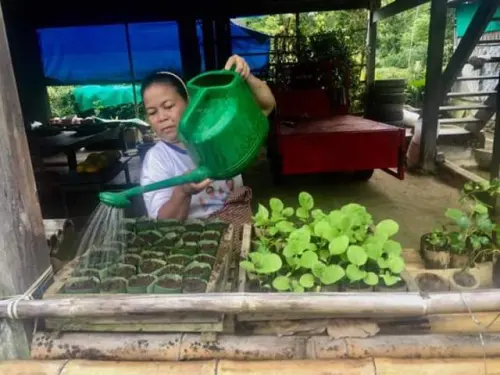 Trik Menghasilkan Rupiah dari Taman Rumah