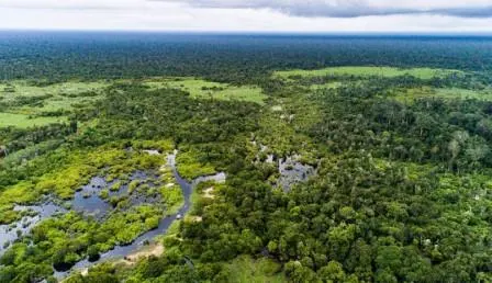 Perihal Lahan Basah dan 7 Alasan Kenapa Keberadaannya Sangat Penting