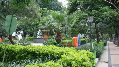 Bagaimana Taman Dapat Membantu Kita Merasa Lebih Baik, Ini Rahasianya