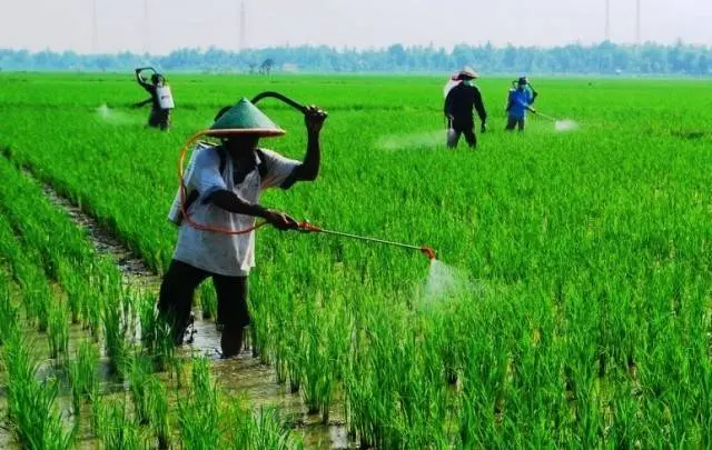 Studi; Ratusan Ton Pestisida Meresap ke Sungai Setiap Tahun