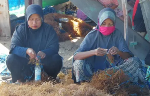 Menggugat Ekosida di Indonesia, Mengapa Perempuan Jadi Korban Paling Rentan Sekaligus Penyelamat Bumi?