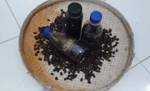 Daeng Halim dan Fundamental Kopi Topidi