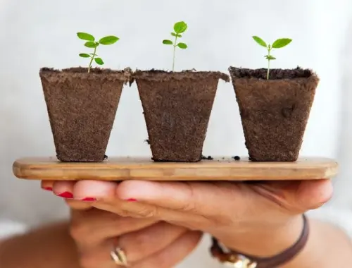 Apa Itu Keberlanjutan atau Sustainability?