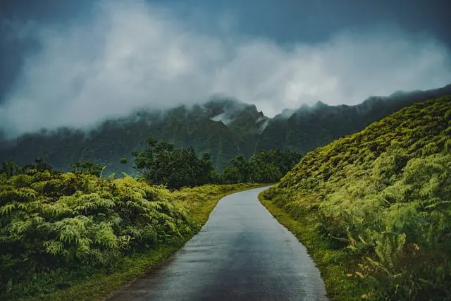Hutan Hujan Tropis Tidak Beradaptasi Cukup Cepat Terhadap Perubahan Iklim?