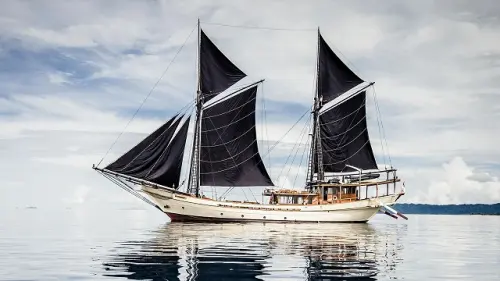 Kayu Bitti, Penyelamat Perahu Pinisi
