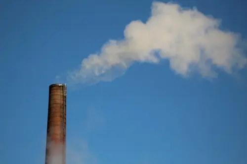 Klaim Penurunan Emisi Harus Bermuara pada Net-zero tanpa Bahan Bakar Fosil