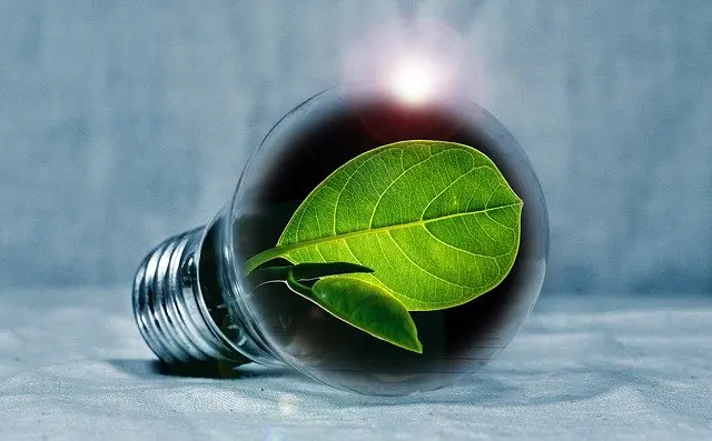 Pemerintah Daerah Didorong Ambil Kendali Agenda Transisi Energi Berkeadilan