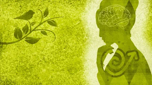 Apakah Hak Perempuan untuk Dapatkan Energi Bersih Sudah Terpenuhi?