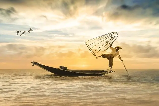Tak Ada Sesiapa di Perut Ikan