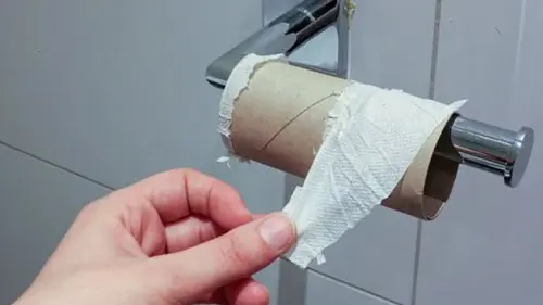 Penggunaan Tisu Toilet Berkontribusi Langsung Terhadap Deforestasi