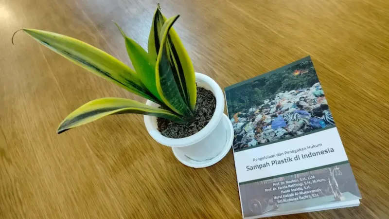 Bagaimana Tanaman Mendengarkan Kita?