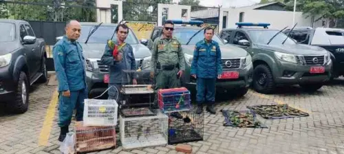 Gakkum KLHK Tangkap Dua  Pelaku Perdagangan Satwa Dilindungi di Makassar
