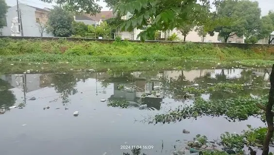 Melihat Rombongan Sampah Melintasi Kanal Kota Makassar di Musim Hujan