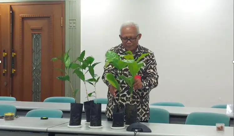 Kopi Toraja Berjaya: Inovasi BRIN Lipat Gandakan Produktivitas dan Kesejahteraan Petani