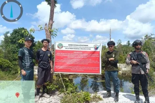 Kisah Baru 12 PETI di TN Tanjung Puting, Gugatan Praperadilan Ditolak, Proses Hukum pun Berlanjut
