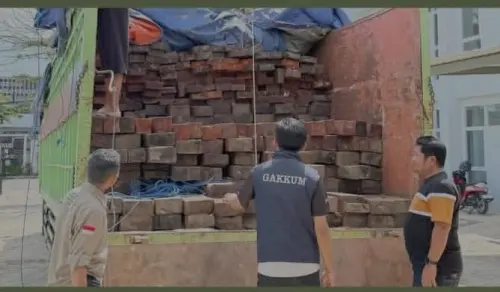 Tiga Kabar Baik dari Gakkum Kehutanan yang Patut Diapresiasi di Bulan Maret Ini